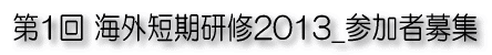 1COZC2013_QҕW