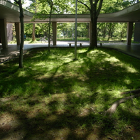 The Patio of Great Lecture Hall