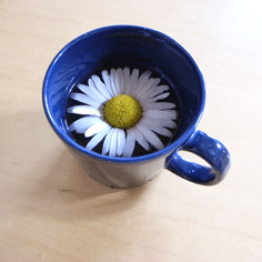 花とカップ