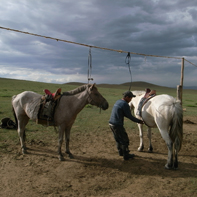 The Ruiral Are of Mongolia