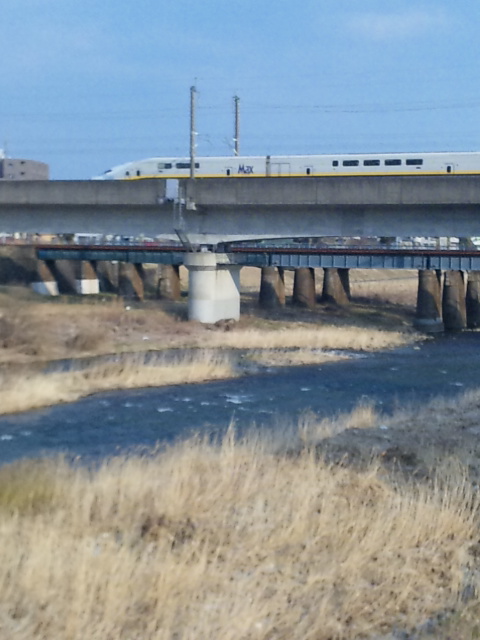 広瀬川の橋上で停まったままの新幹線